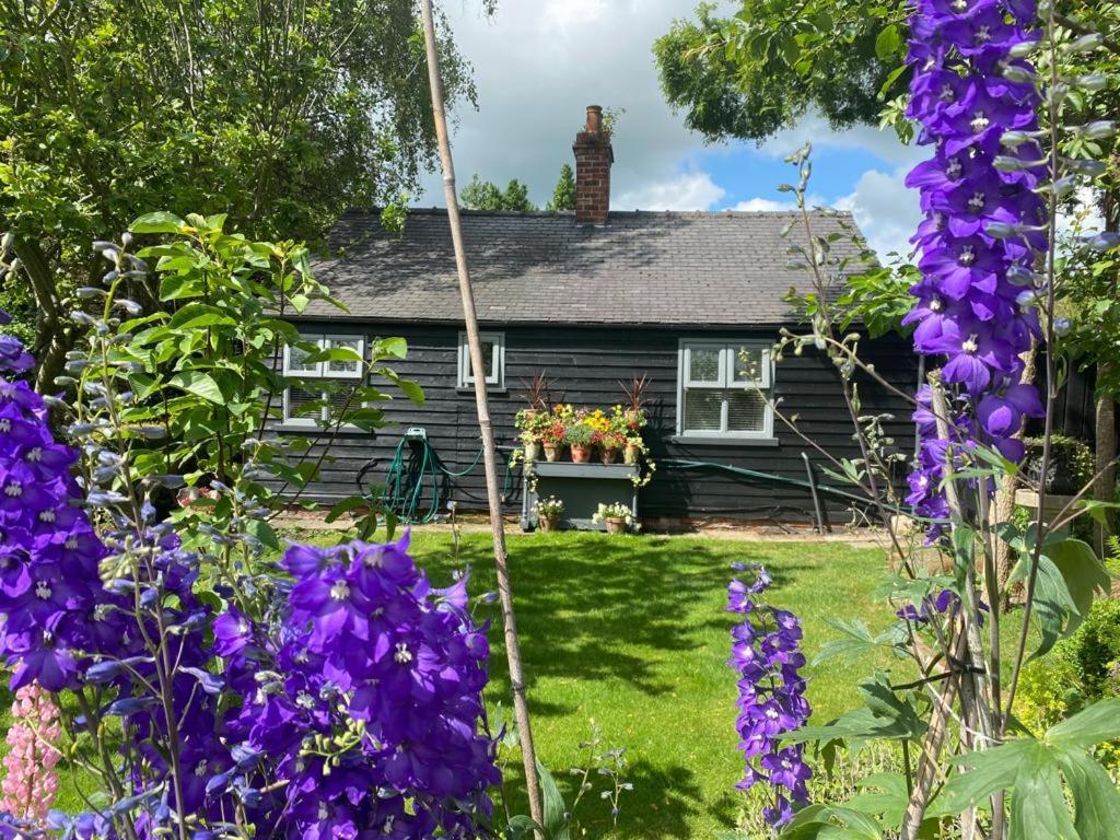Thompsons Cottage Beverley Luaran gambar